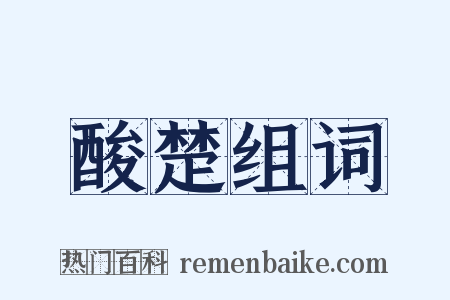 酸楚组词是什么意思的图片